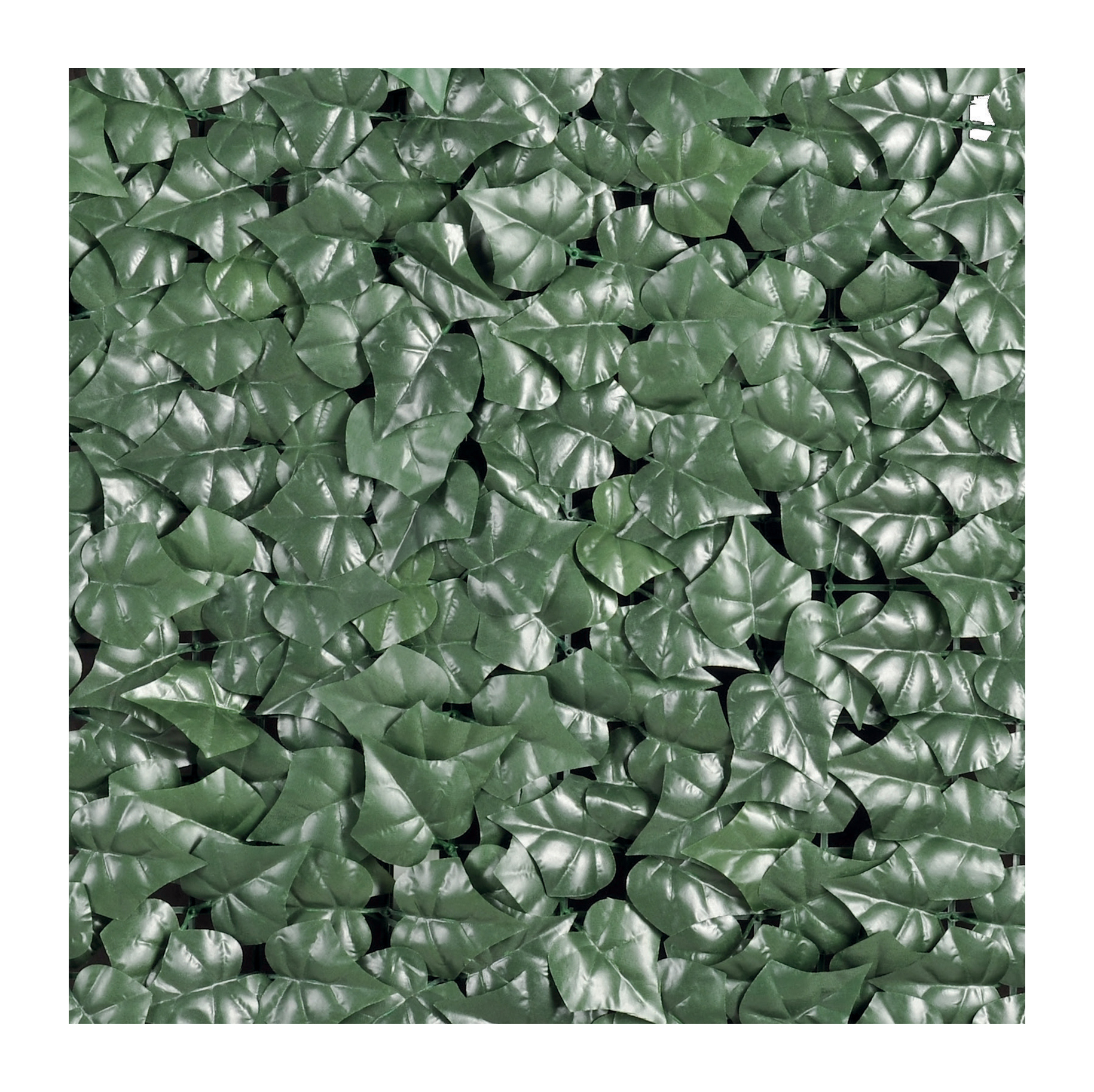 Siepe artificiale Ivy Eco 100x300 cm verde scuro