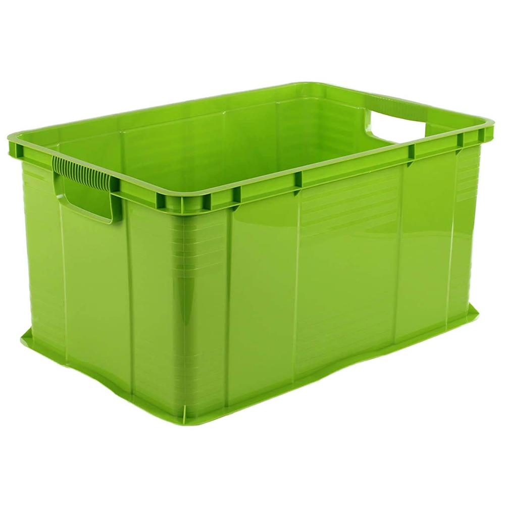Scatola contenitore in plastica Rotho Agilo 55 litri verde 59x39x31 cm