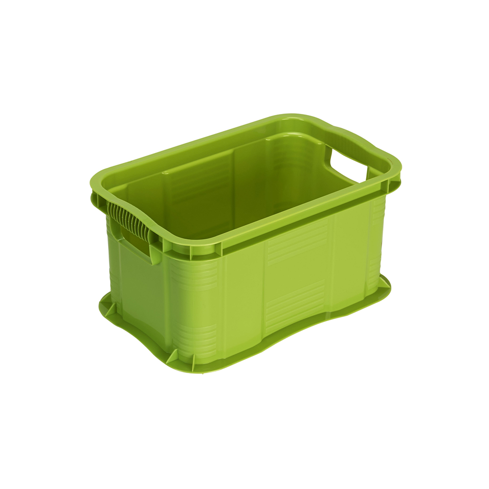 Scatola contenitore in plastica Rotho Agilo 6 litri verde 29x19x15,5 cm